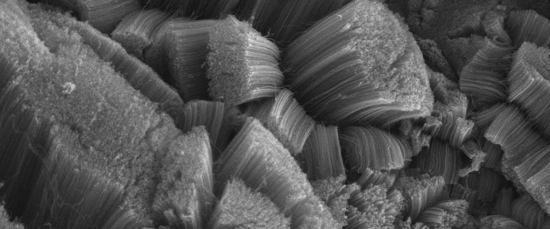 Nanotubos de carbono de múltiplas e poucas paredes